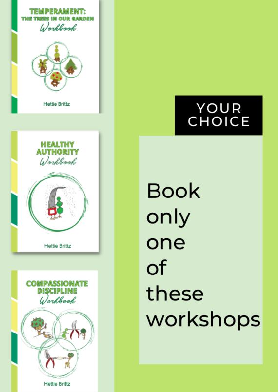 One-on-One: Workshops