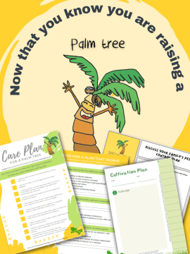 Now that you know you are raising a Palm tree