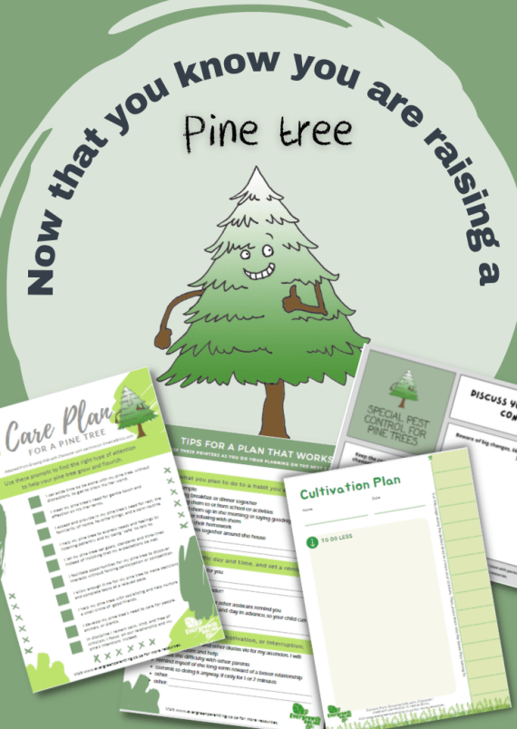 Now that you know you are raising a Pine tree