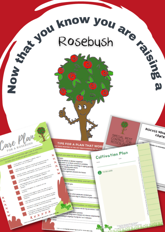 Now that you know you are raising a Rosebush