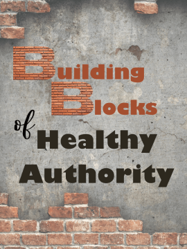 The Building blocks of Healthy Authority