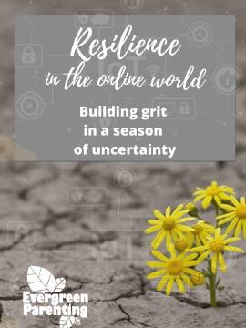 Zoom Talk - Resilience in the Online World