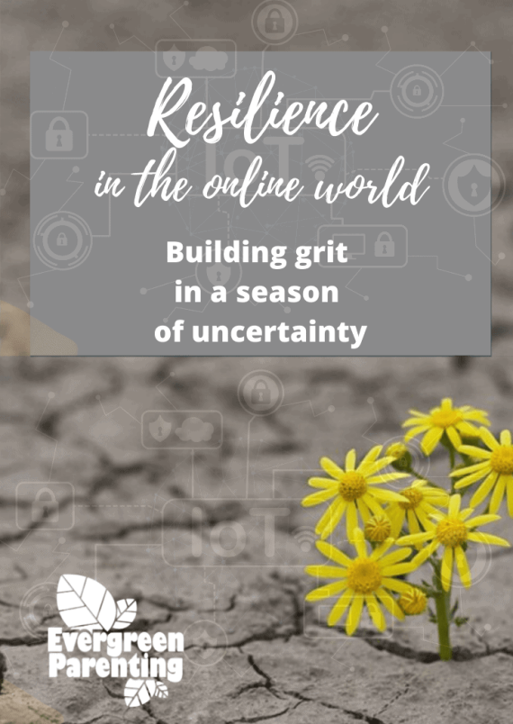 Zoom Talk - Resilience in the Online World