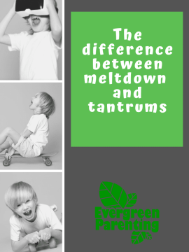Zoom Talk - The difference between meltdown and tantrums