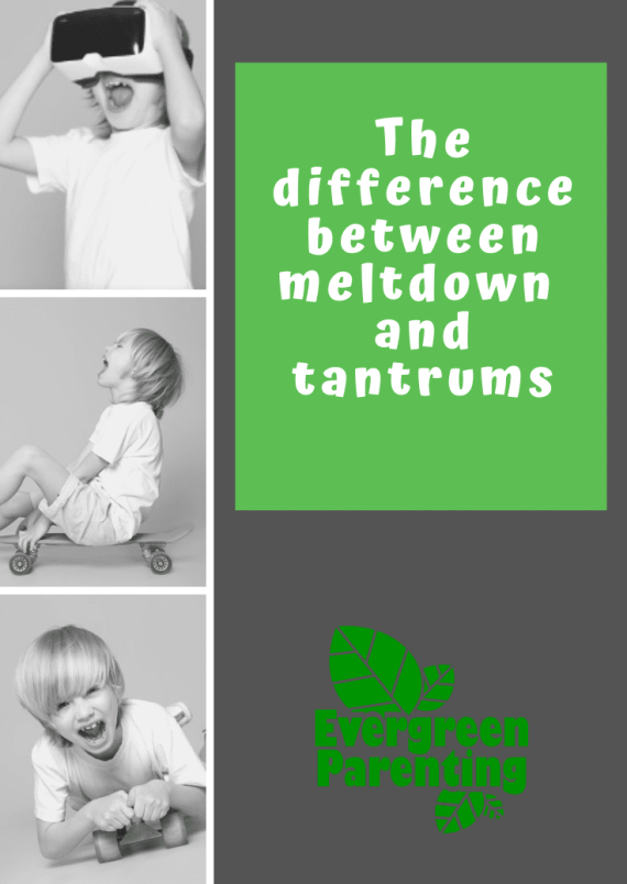 Zoom Talk - The difference between meltdown and tantrums