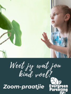 Zoom-praatjie -Weet jy wat jou kind voel?