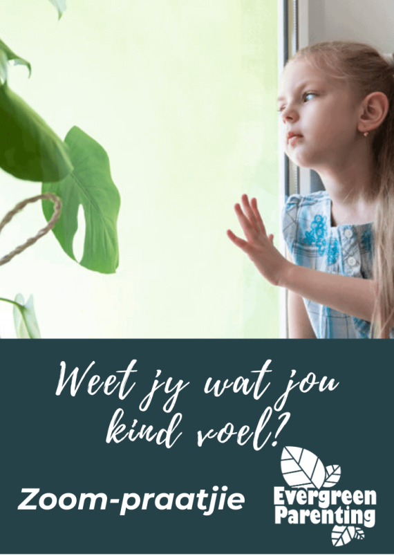 Zoom-praatjie -Weet jy wat jou kind voel?