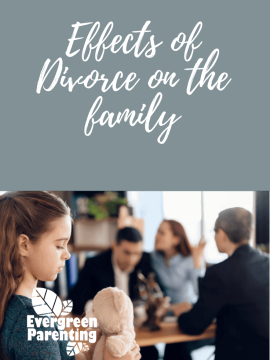 Zoom Talk - The effect of divorce on the family
