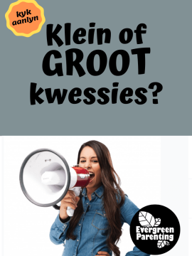 Klein of groot kwessies?