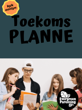 Toekomsplanne